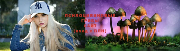 не бодяженный Слюдянка