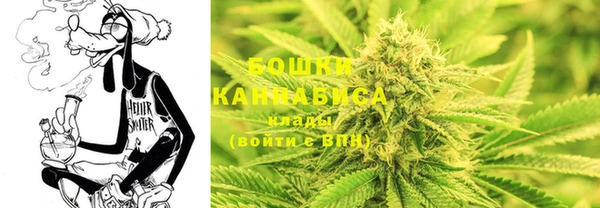 трава Снежногорск